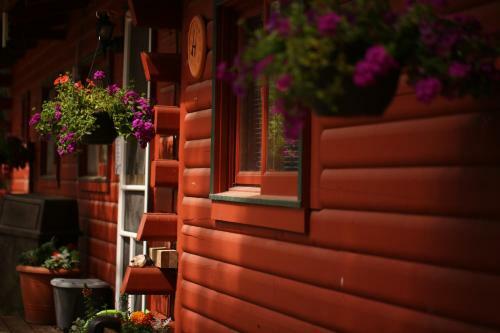 Apartamento Mountain Meadows Cabin