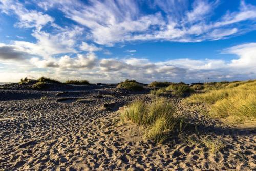 Seahorse 1-e