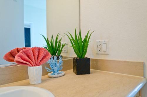 Apartamento Urban Downtown La Oasis Resort Suite