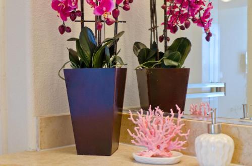 Apartamento Urban Downtown La Oasis Resort Suite