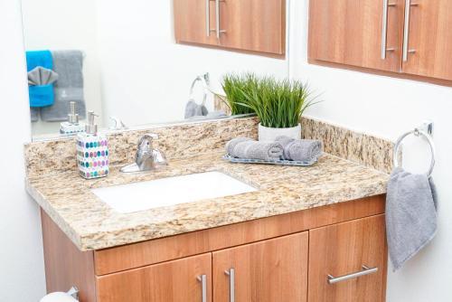 Beautiful Downtown Apartment
