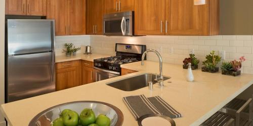 Beautiful Downtown Apartment