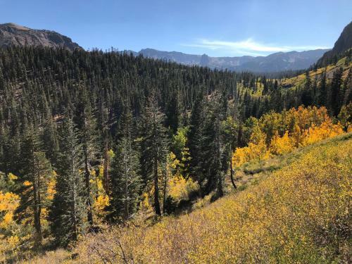 Mountainback #60, Corner Unit