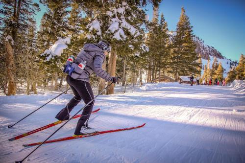 Mammoth Green Condos