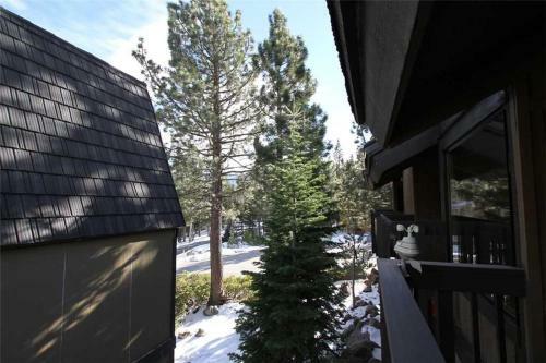 Apartamento Bigwood 80 ( 2-bedroom Condo )
