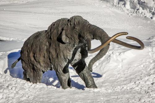 St. Moritz 75