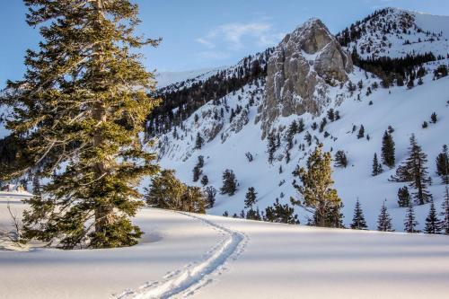 Snowcreek 233
