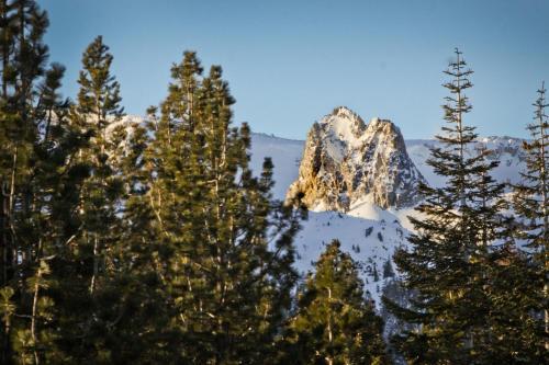 Chamonix 100