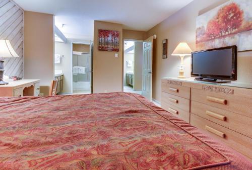 Aspen Creek 229