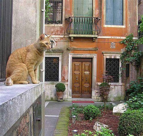 Apartamento Ca' Angeli