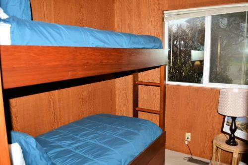 Sea Princess ~ Mca 1227