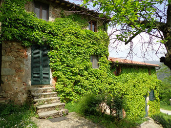 Hotel Fattoria Di Pietrabuona