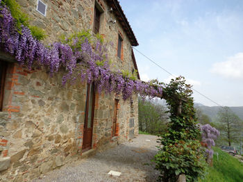 Hotel Fattoria Di Pietrabuona