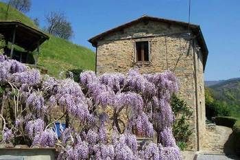 Hotel Fattoria Di Pietrabuona