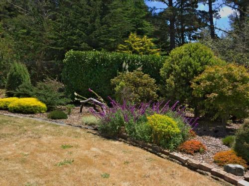 Mendocino Magic