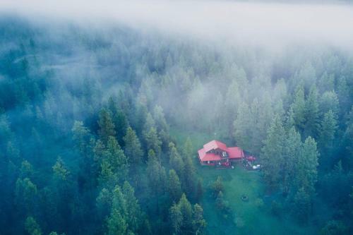 Cabin In The Pines