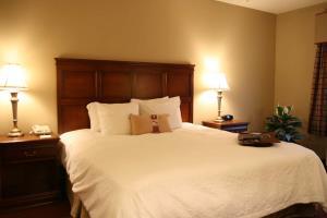 Hotel Hampton Inn & Suites Montgomery-eastchase Al
