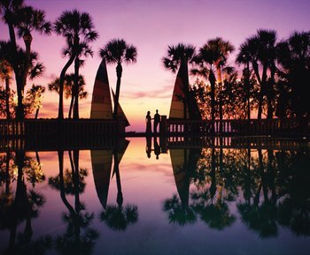Hotel Loews Don Cesar