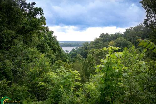 Clermont Bluffs Bed & Breakfast