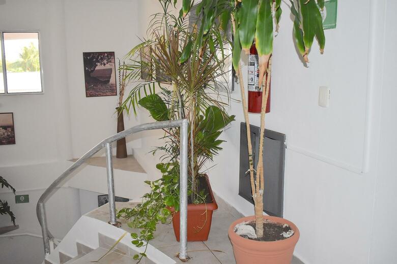 Hotel Plaza Almendros