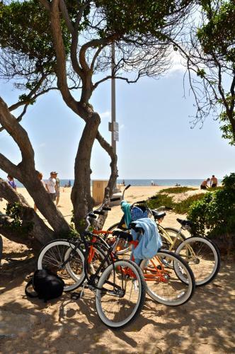 Apartamento 700 East Oceanfront Unit A 1 Bedroom Condo