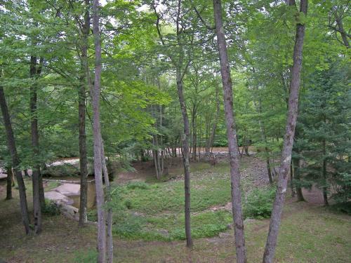 Deer Park 260