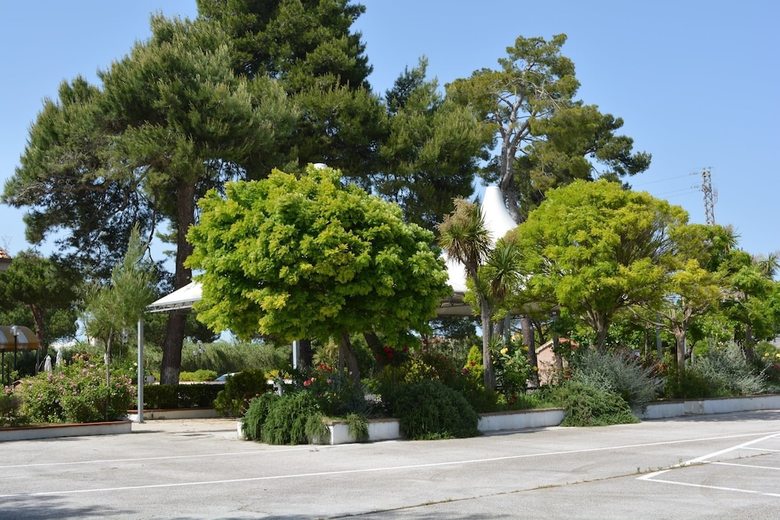 Hotel Paradise Vacanze