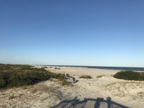 Beach Place 9 Townhouse