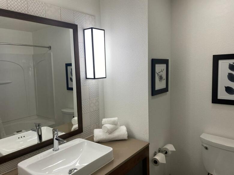 Hotel Holiday Inn Express Tampa Stadium Apt