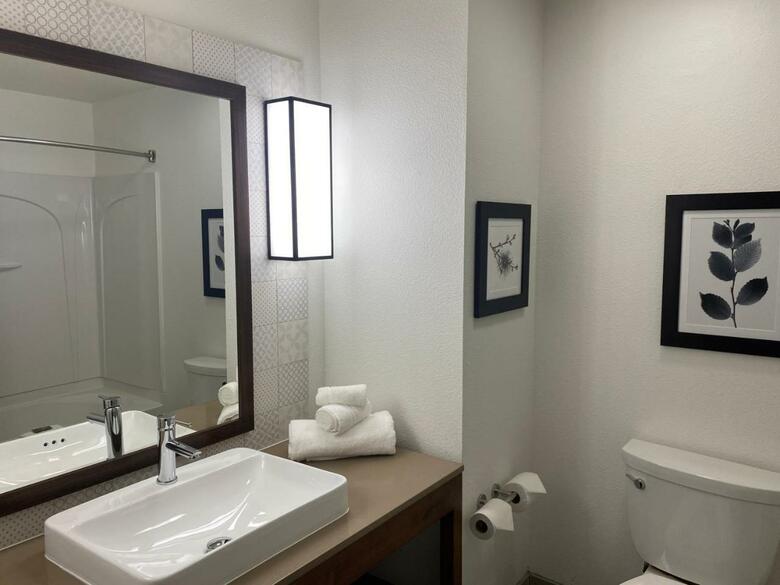 Hotel Holiday Inn Express Tampa Stadium Apt