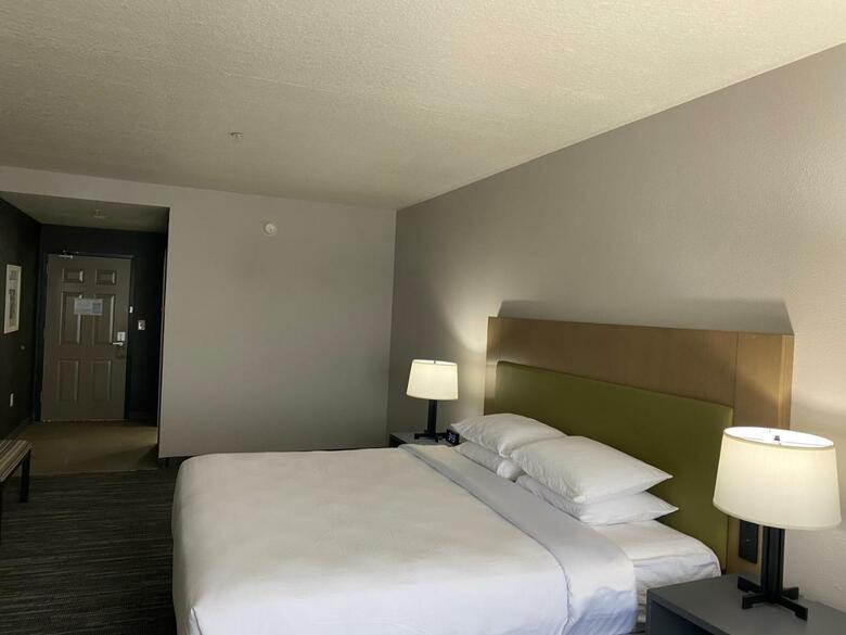 Hotel Holiday Inn Express Tampa Stadium Apt