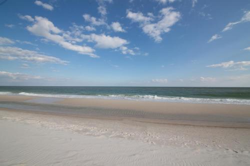 Escapes! To The Shores 1205