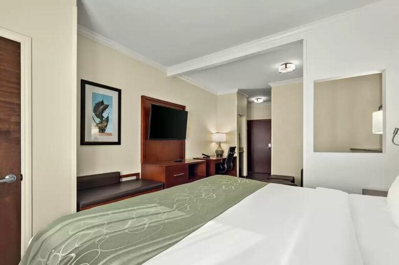 Hotel Comfort Suites Central