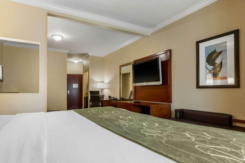Hotel Comfort Suites Central