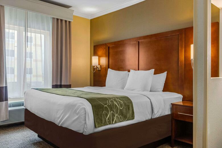 Hotel Comfort Suites Central