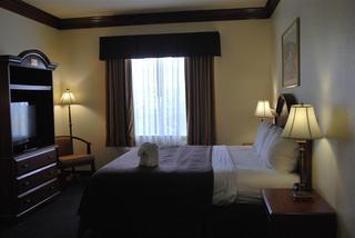 Hotel Best Western Fort Worth Inn & Suites