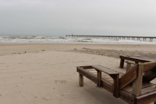 Padre Island 203