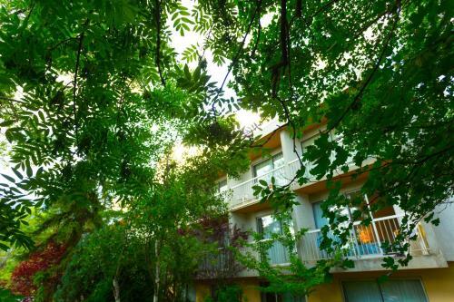 Hotel H�tel Le Carina