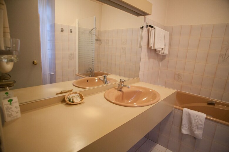 Hotel Le Lion D'or