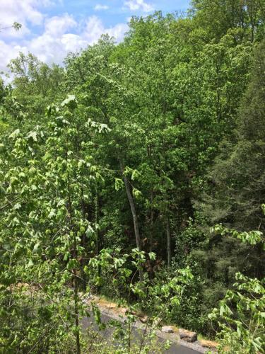 Wildflower Private Cabin For 2