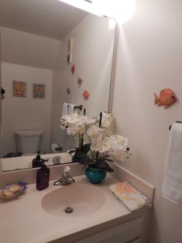 149 Pismo Shores Two-bedroom Apartment
