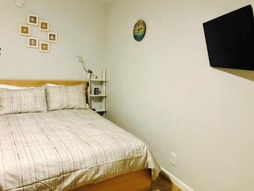 Petrina Studios Apartments