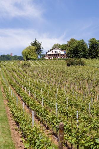 Hotel Le Clos Saint Vincent