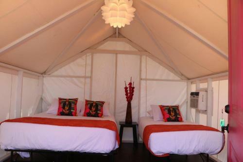 Posada Camp Coyoacan