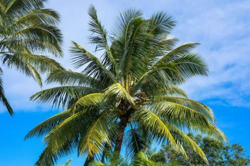 Hale Mahina