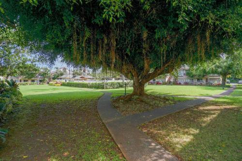 Apartamento Sandpiper #105b