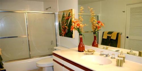 Apartamento Princeville Hale Moi 213a Condo