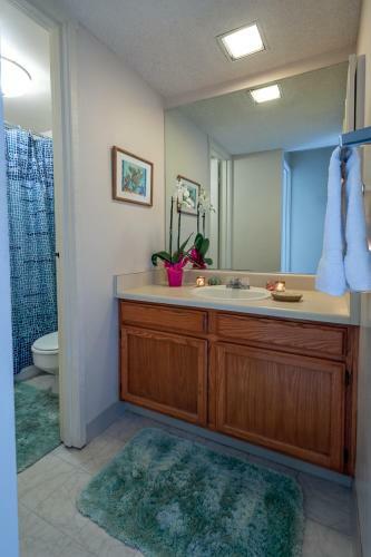 Apartamento Sealodge E8 Condo