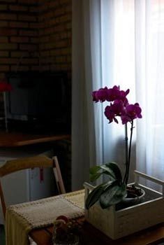 Hotel Pousada Jureremirim