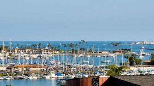 Yacht Sailors Paradise In Point Loma
